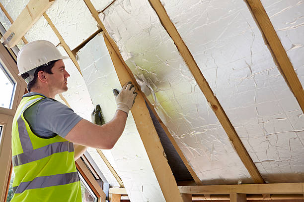 Best Cellulose Insulation  in Chandler, AZ